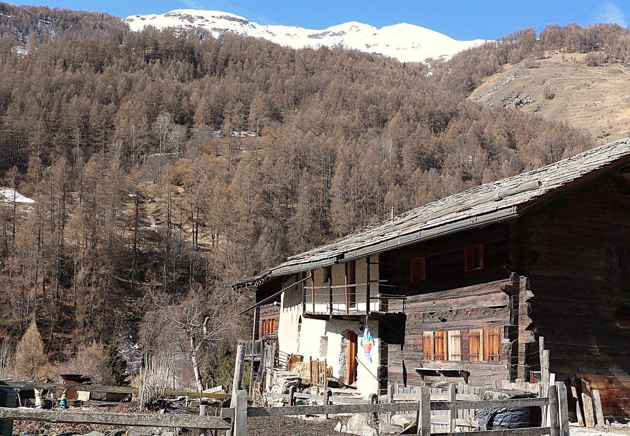 Ferienwohnung in Les Haudères - Berthé 11 - Authentisch und Komfort | Les Haudères