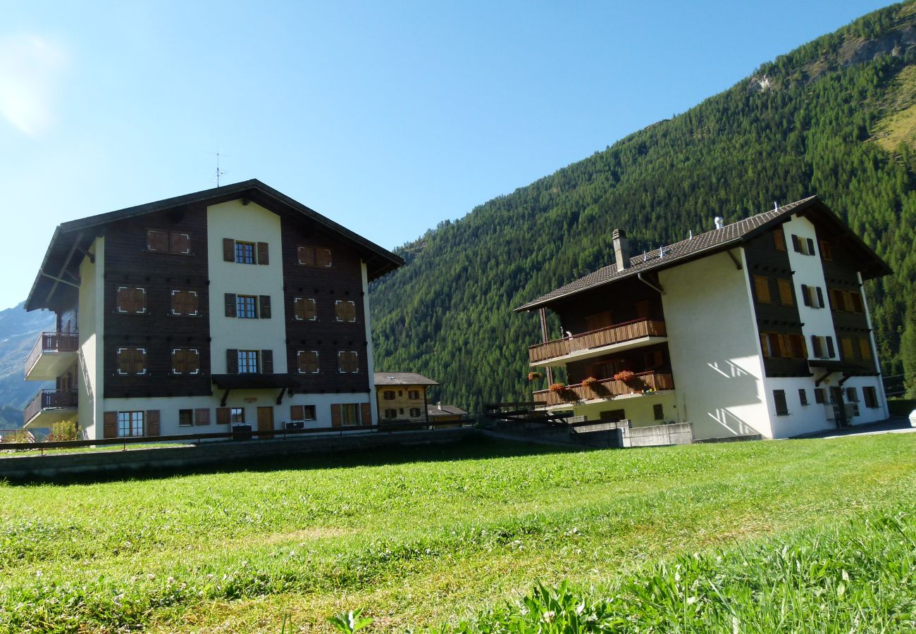 Apartment in Evolène - Dent d'Hérens 26D - Top floor flat | Évolène