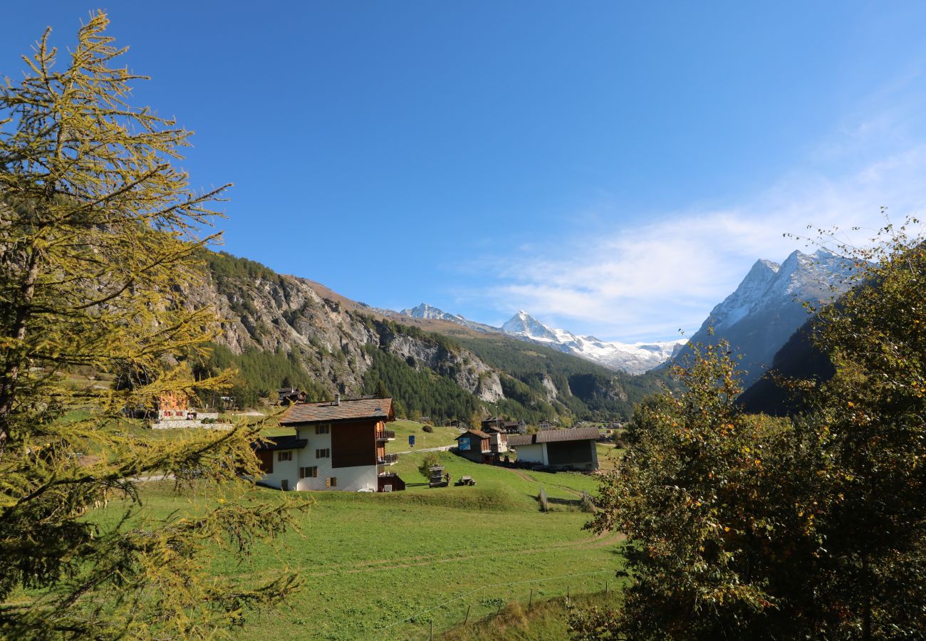 Chalet in Evolène - Le Bouquetin - Chalet mit 4 Zimmern | Évolène