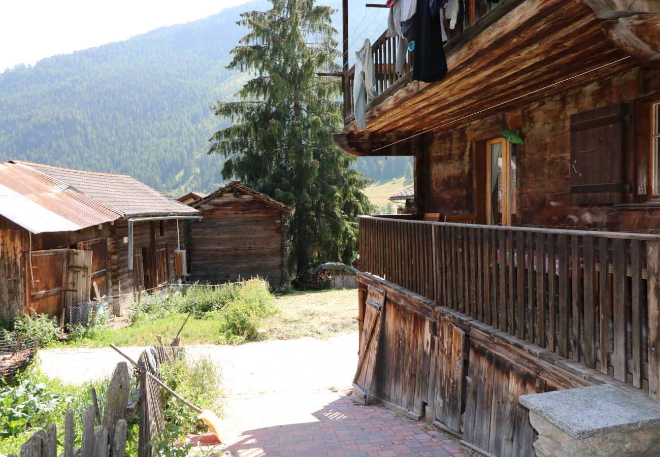 Appartement à Evolène - Lè Tsenevirè - Appartement traditionnel | Évolène