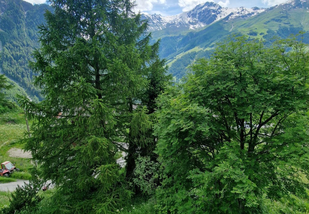 Chalet à La Forclaz - Chalet Vatré - Charme montagnard | La Forclaz VS